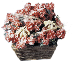 Blumenmarkt-Bild-1